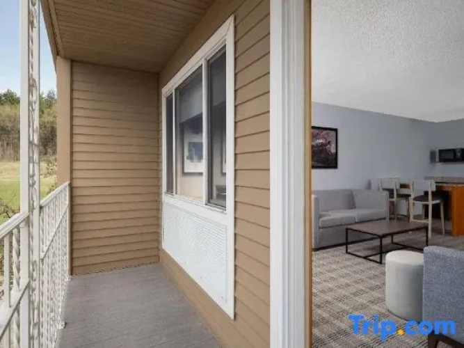 1 Bedroom Premium Double Suite