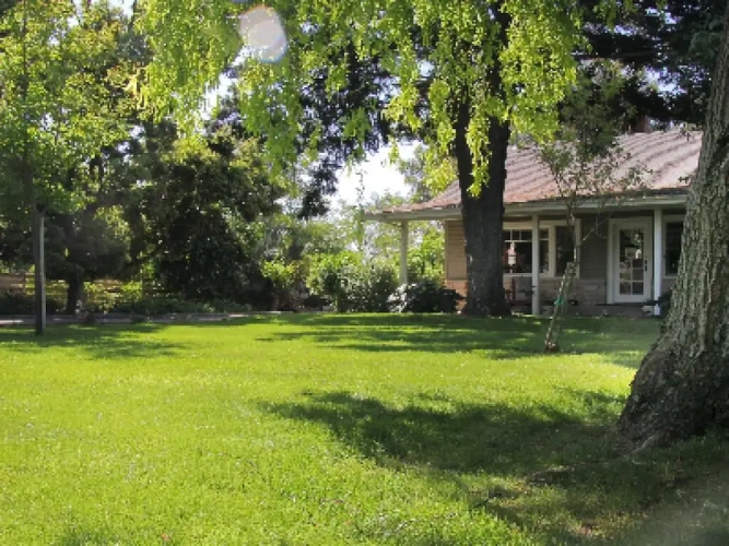 Standard Cottage