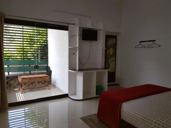 Standard Double room with balcony and with view