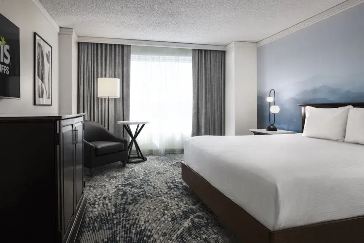 Premium Double room with river view