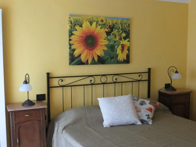 Standard Double room with balcony and with view
