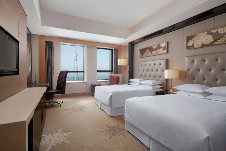 Standard Twin Club room with city view