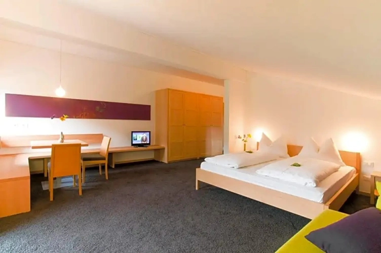 Superior Double room with balcony and with view