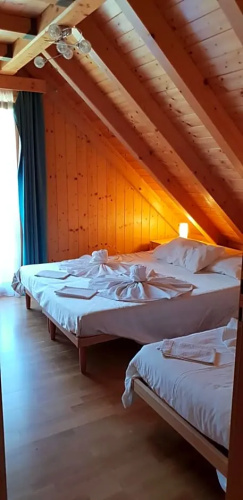 Al sentiero di Charly