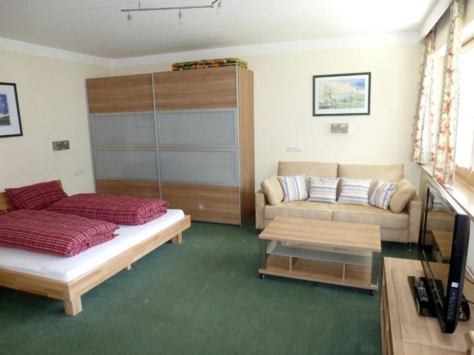 1 Bedroom Standard Apartment