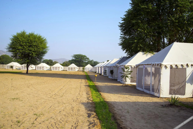 Royal Safari Camp