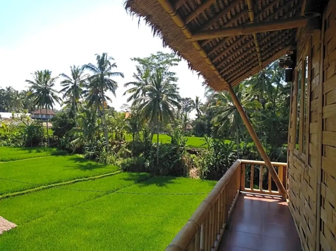 1 Bedroom Villa