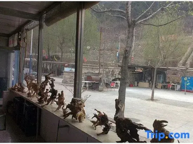 Glass table Xiaoning farmyard