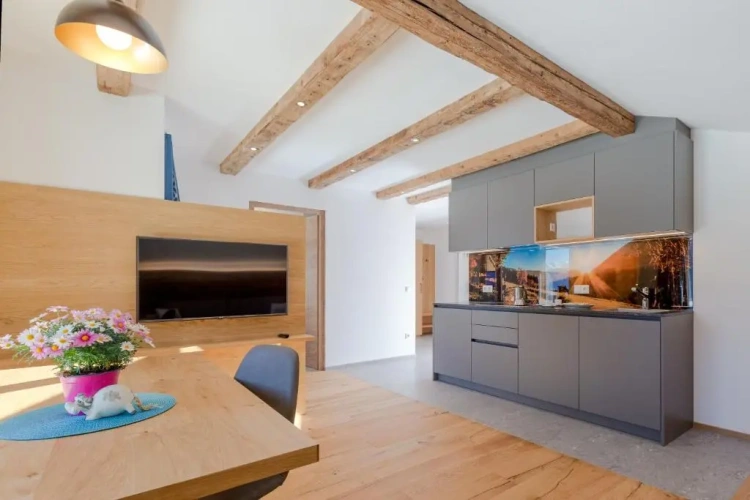 Apartment with mountain view