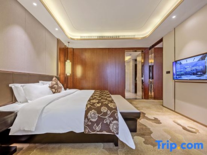 Single Suite