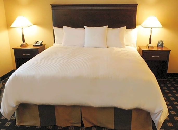 Double Studio Suite