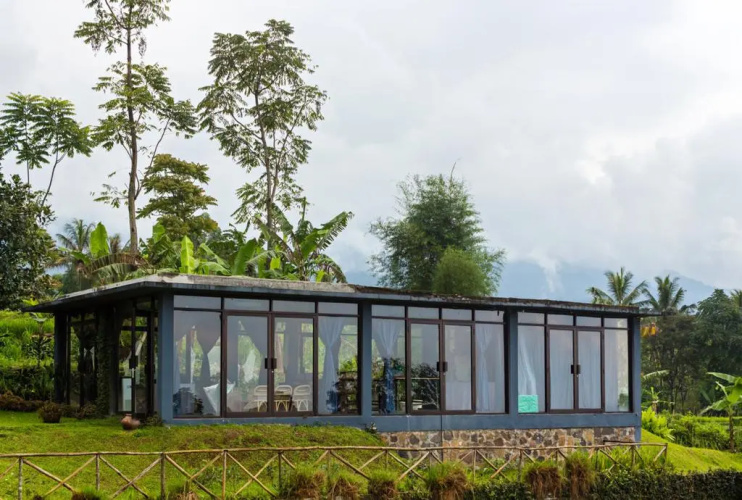 Tea Garden Resort