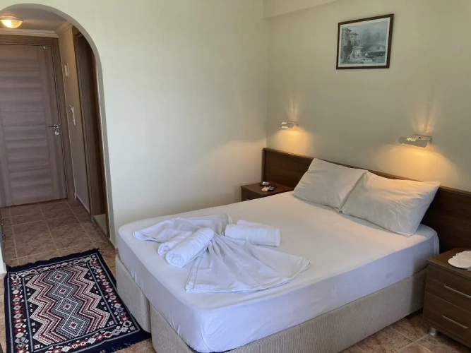 Economy Double room with balcony and with mountain view
