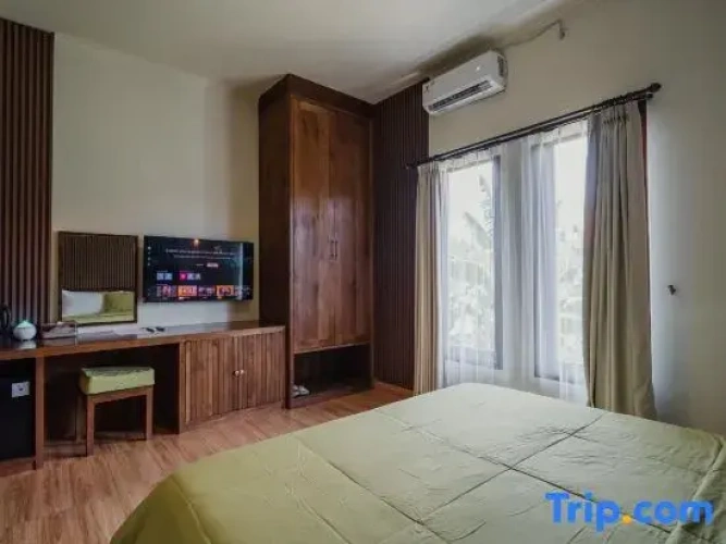 Deluxe Basement Suite