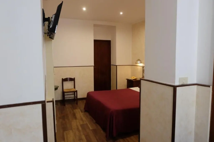 Standard Double room with mountain view