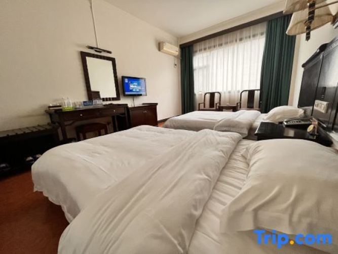 Standard Twin room with view