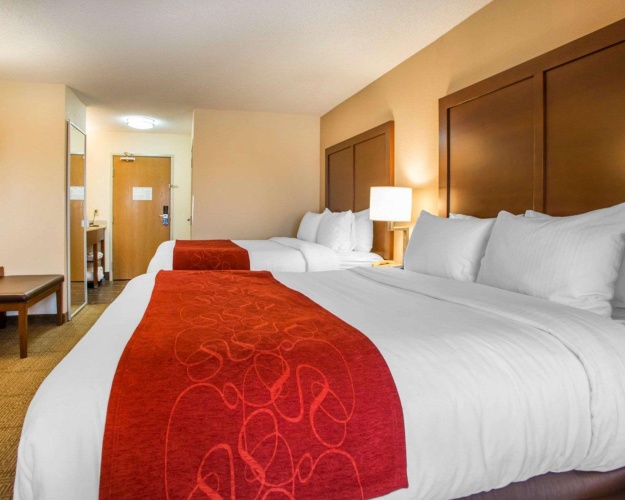 Quadruple Suite