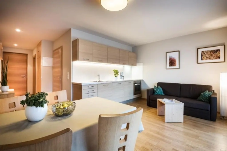 1 Bedroom Apartment