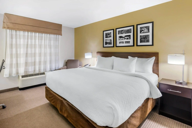 Standard Double room