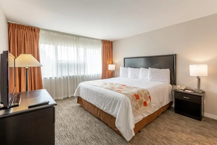 1 Bedroom Double Suite