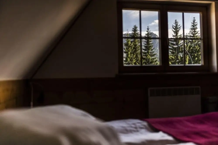 1 Bedroom Comfort Double room with mountain view