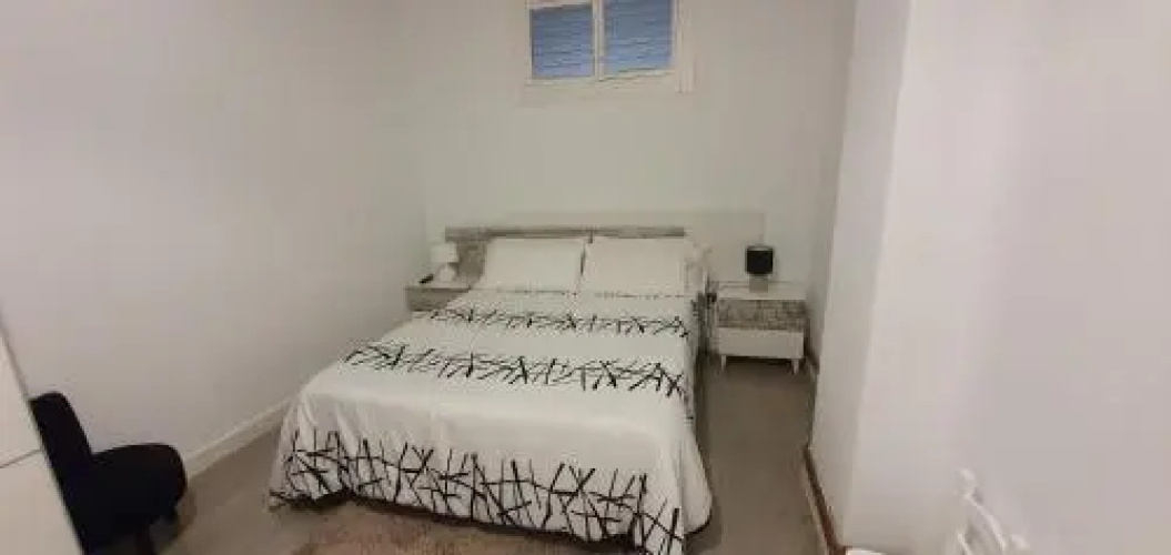 Mayor 104