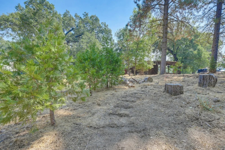 Rustic Cabin w/ Patio: 8 Mi to Kings Canyon Park