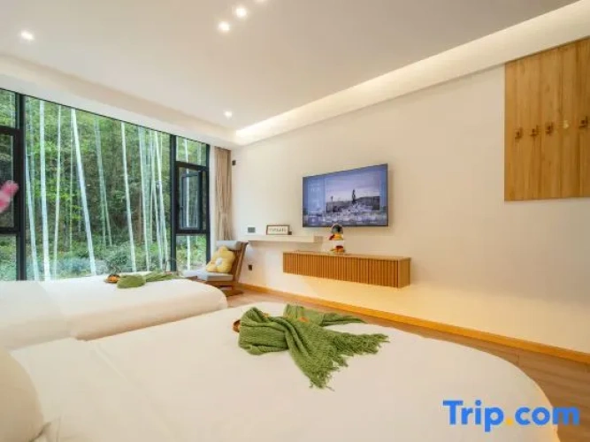 Standard Double room with mountain view