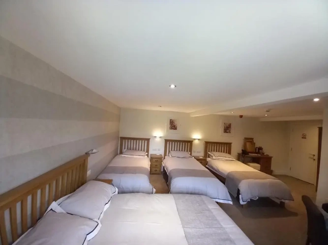 Deluxe Quadruple room