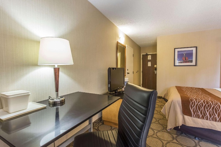 Standard Double Basement room
