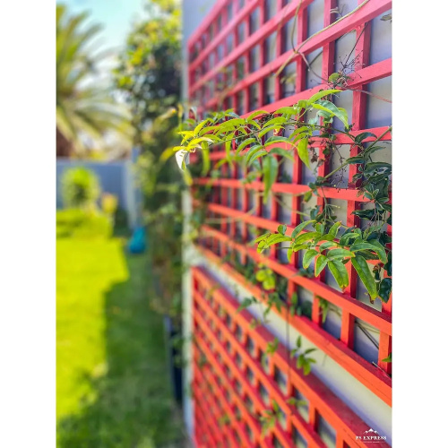 The Urban
