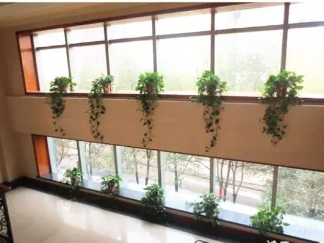 Qianjiang Hotel