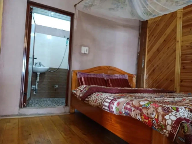 Standard Double room with mountain view