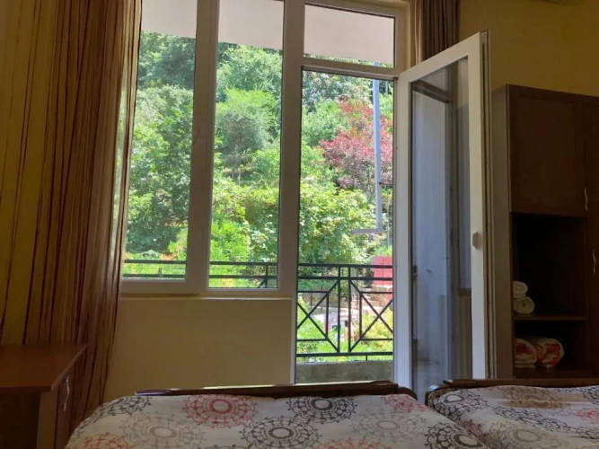 Standard Twin room with mountain view