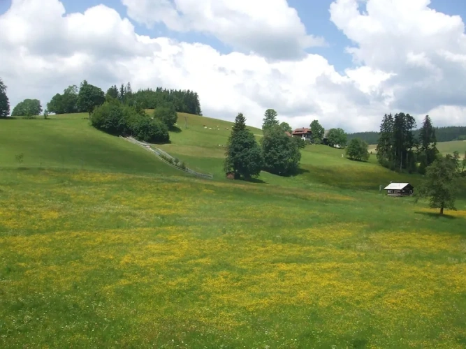 Comfort Double room with mountain view