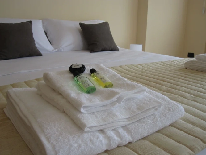 Standard Double room with balcony and with view