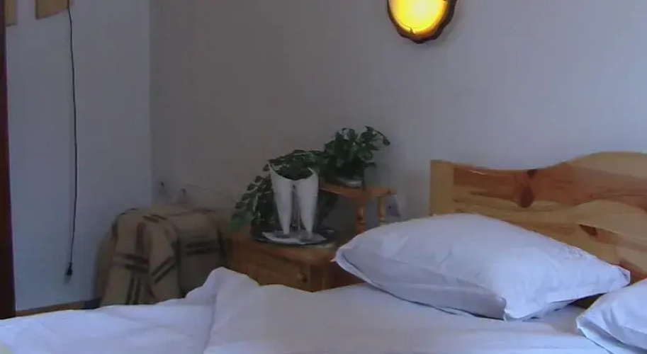 Guest House Chiko