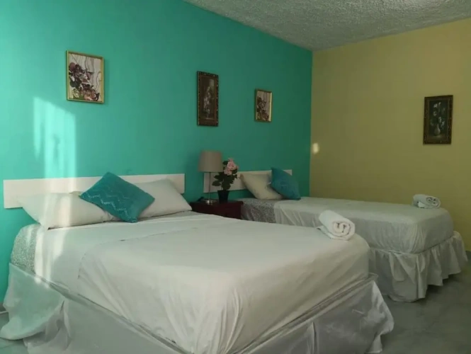 Standard Apartment