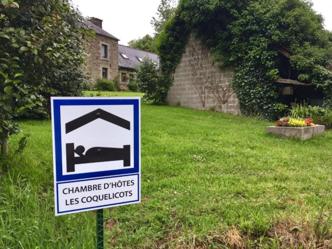 Les Coquelicots