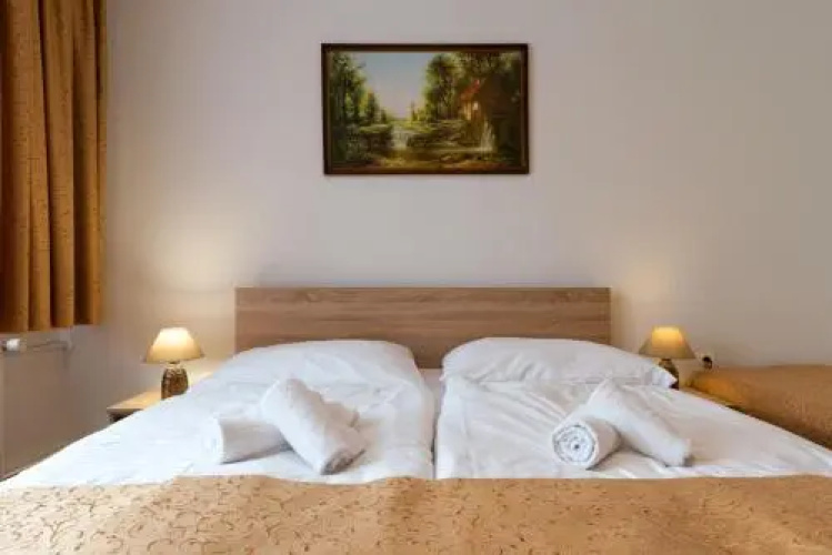 Hotel Lesana