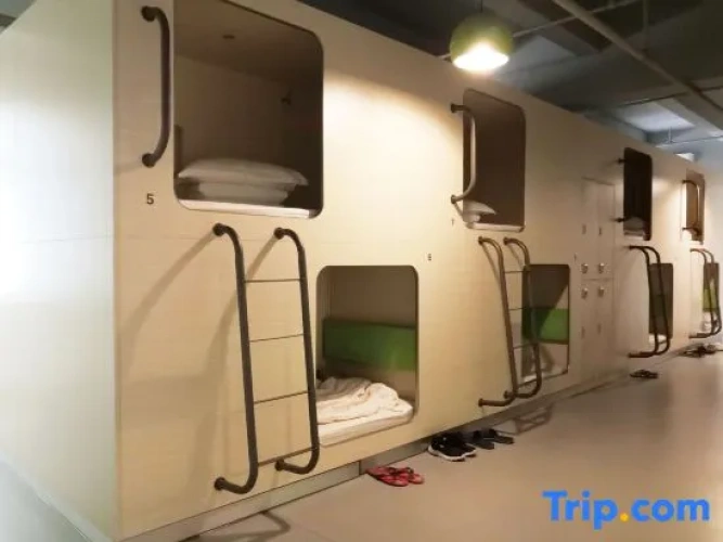 Economy Capsule