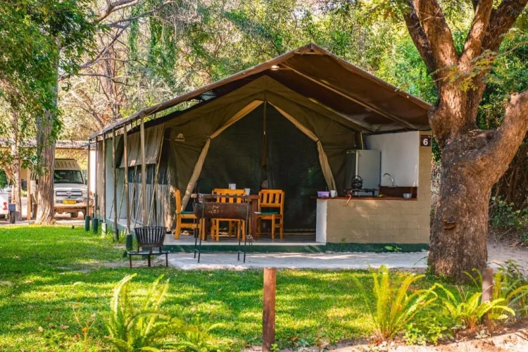 Tent