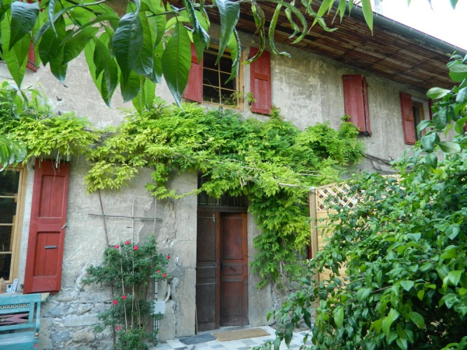 Cottage Carlina