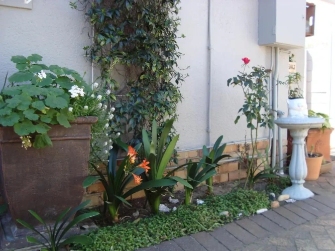 Standard Double room with garden view