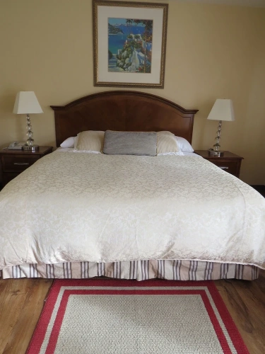 1 Bedroom Standard room