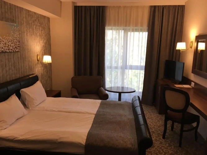 1 Bedroom Suite
