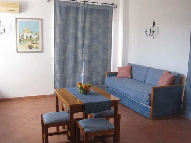 1 Bedroom Standard Apartment