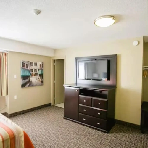 Standard Double Basement room