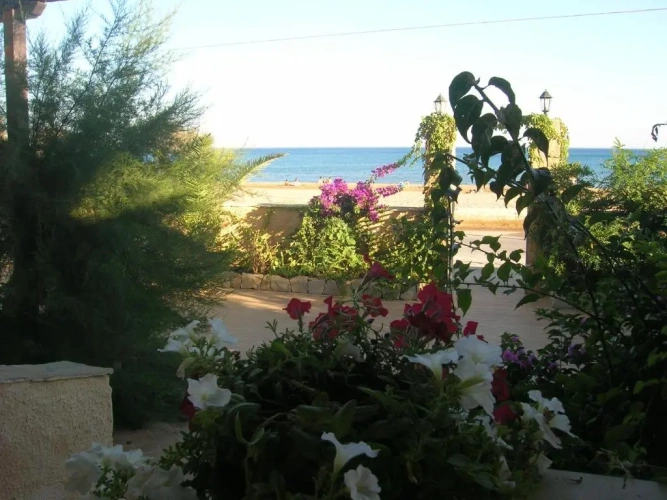 1 Bedroom Cottage