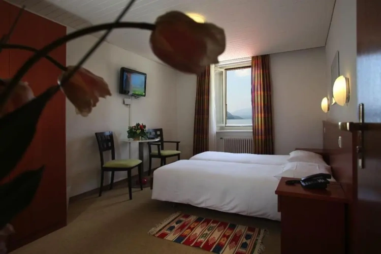Standard Twin room with lake view
